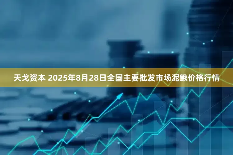 天戈资本 2025年8月28日全国主要批发市场泥鳅价格行情